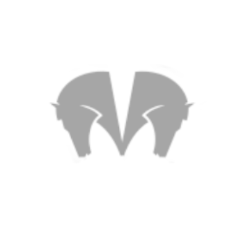 Footer Logo